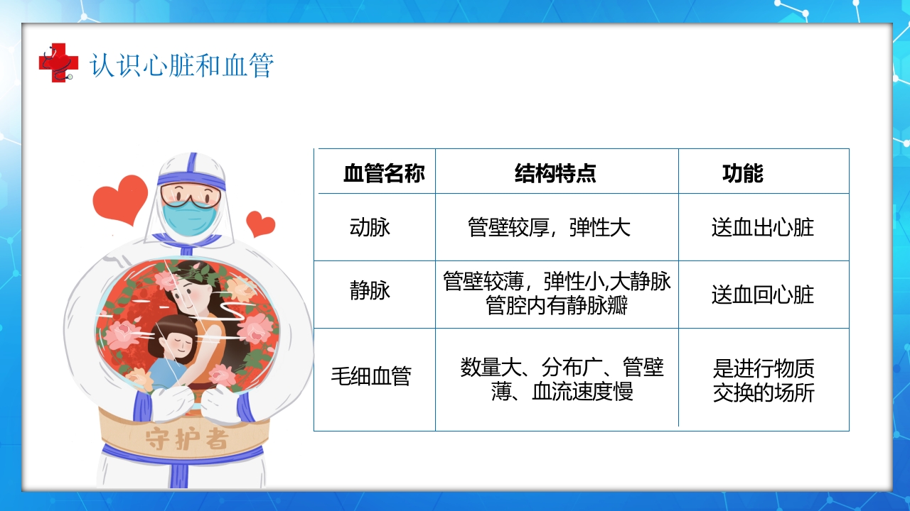 医学百科之血液循环知识讲座汇报宣传PPT课件12