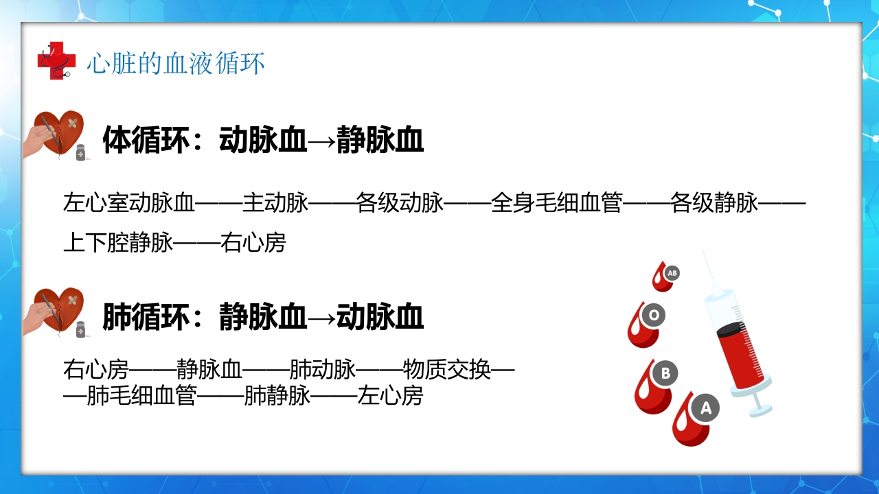 医学百科之血液循环知识讲座汇报宣传PPT课件15