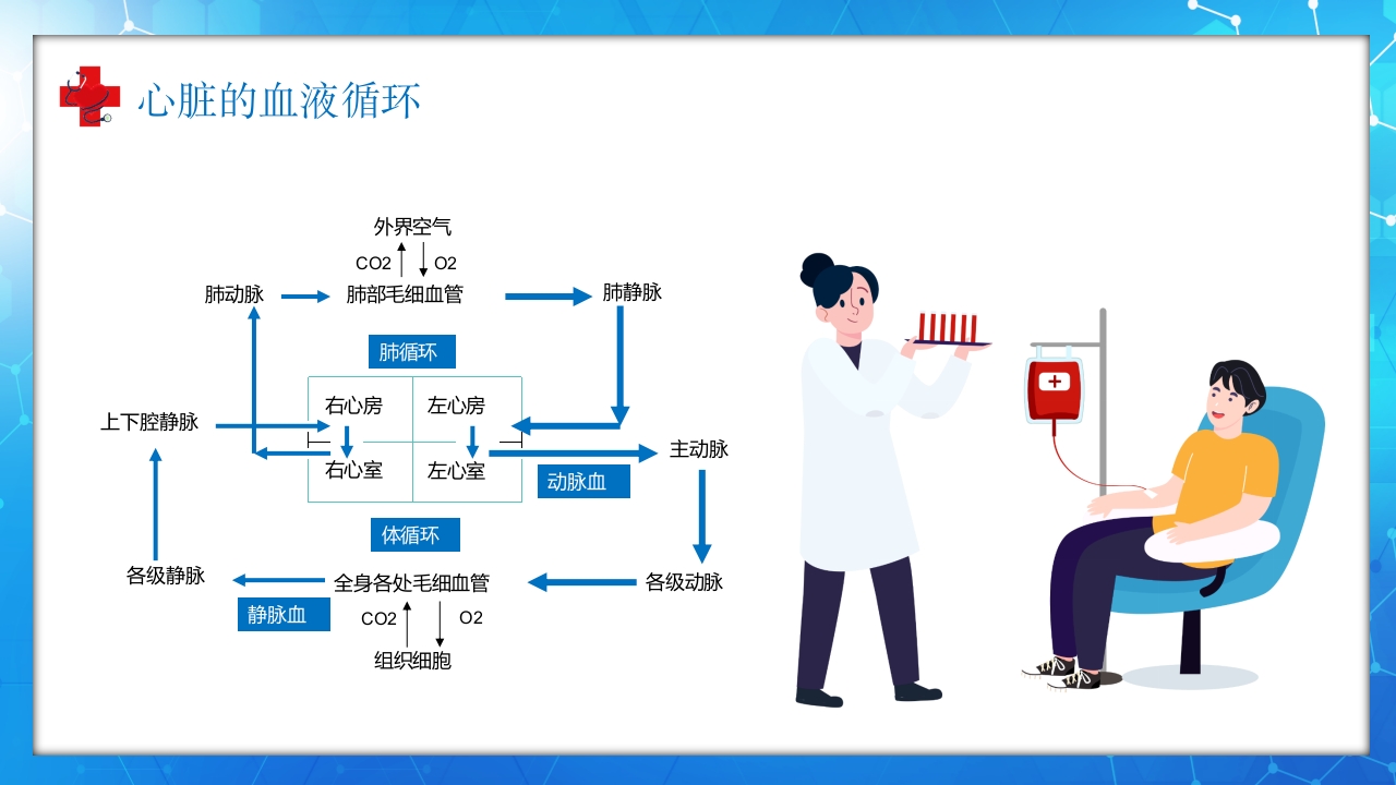 医学百科之血液循环知识讲座汇报宣传PPT课件16