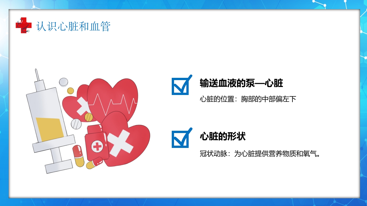 医学百科之血液循环知识讲座汇报宣传PPT课件4