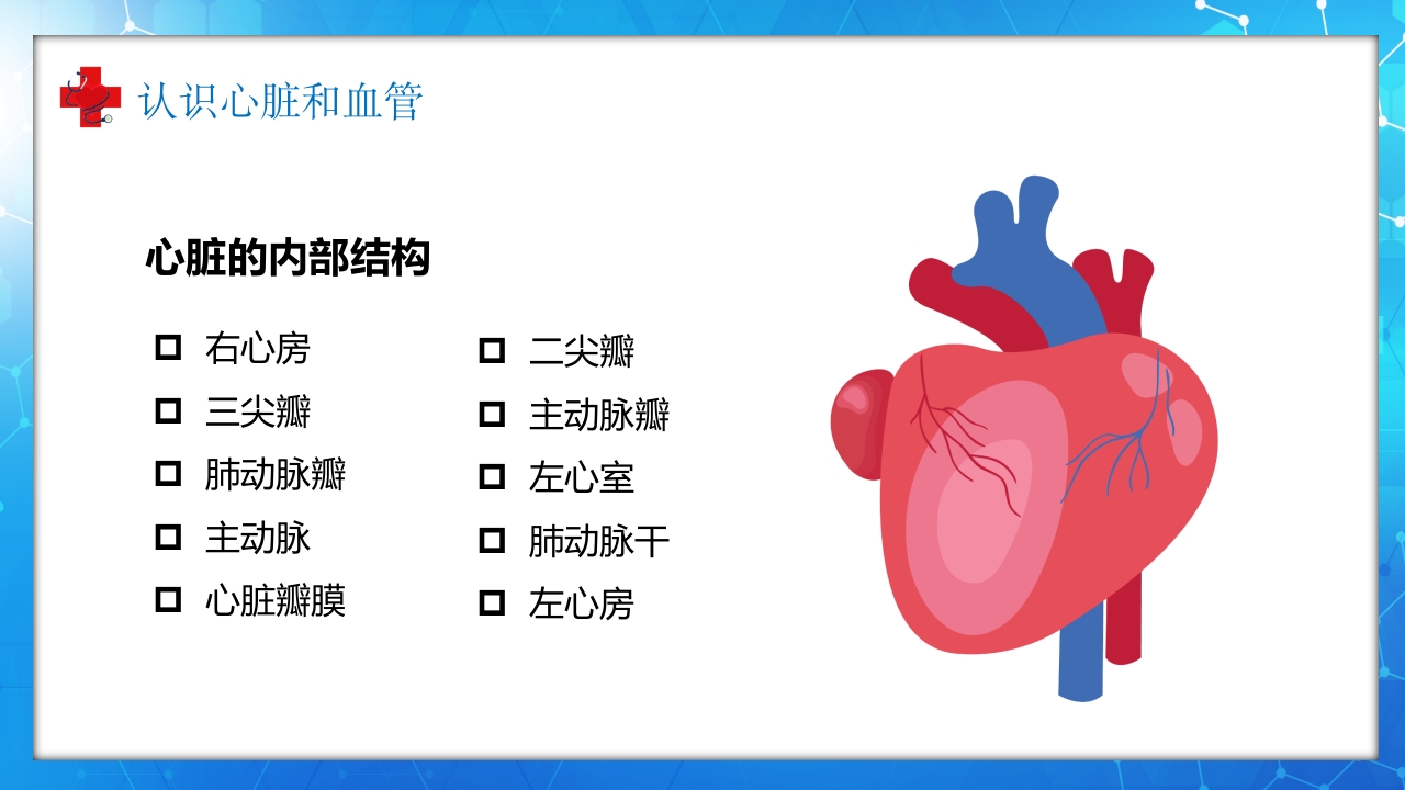 医学百科之血液循环知识讲座汇报宣传PPT课件6