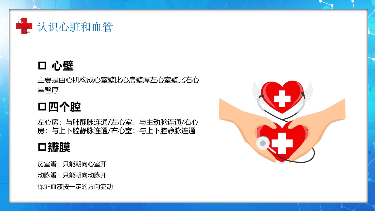 医学百科之血液循环知识讲座汇报宣传PPT课件7
