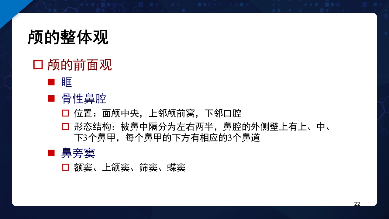 人体解剖学运动系统PPT课件22