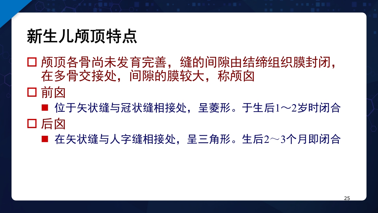 人体解剖学运动系统PPT课件25
