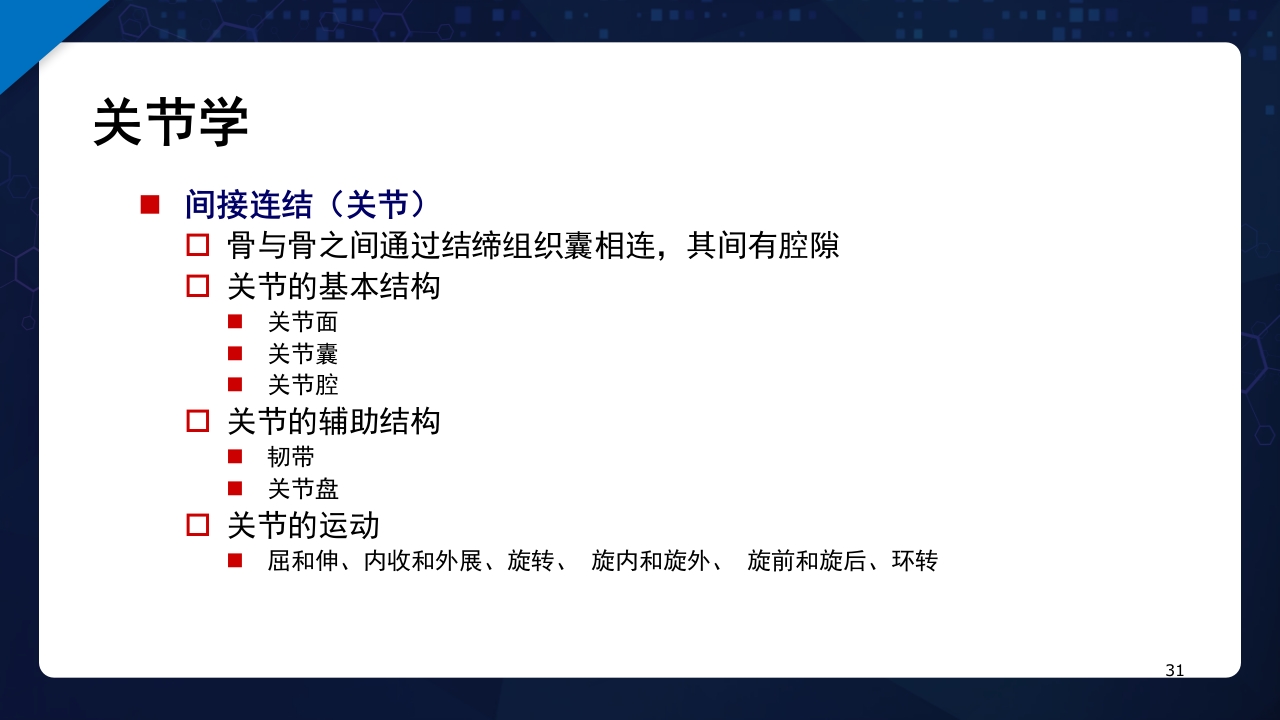 人体解剖学运动系统PPT课件31