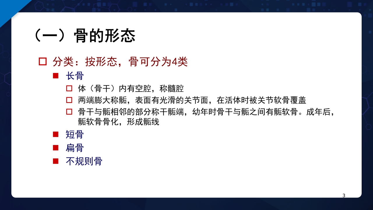人体解剖学运动系统PPT课件3