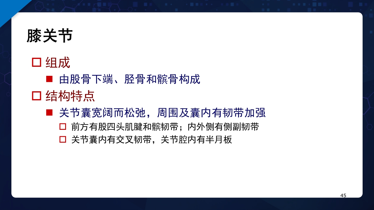 人体解剖学运动系统PPT课件45