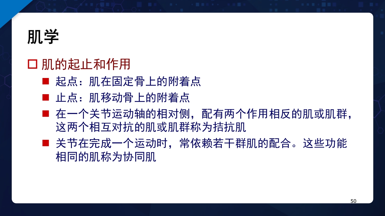 人体解剖学运动系统PPT课件50
