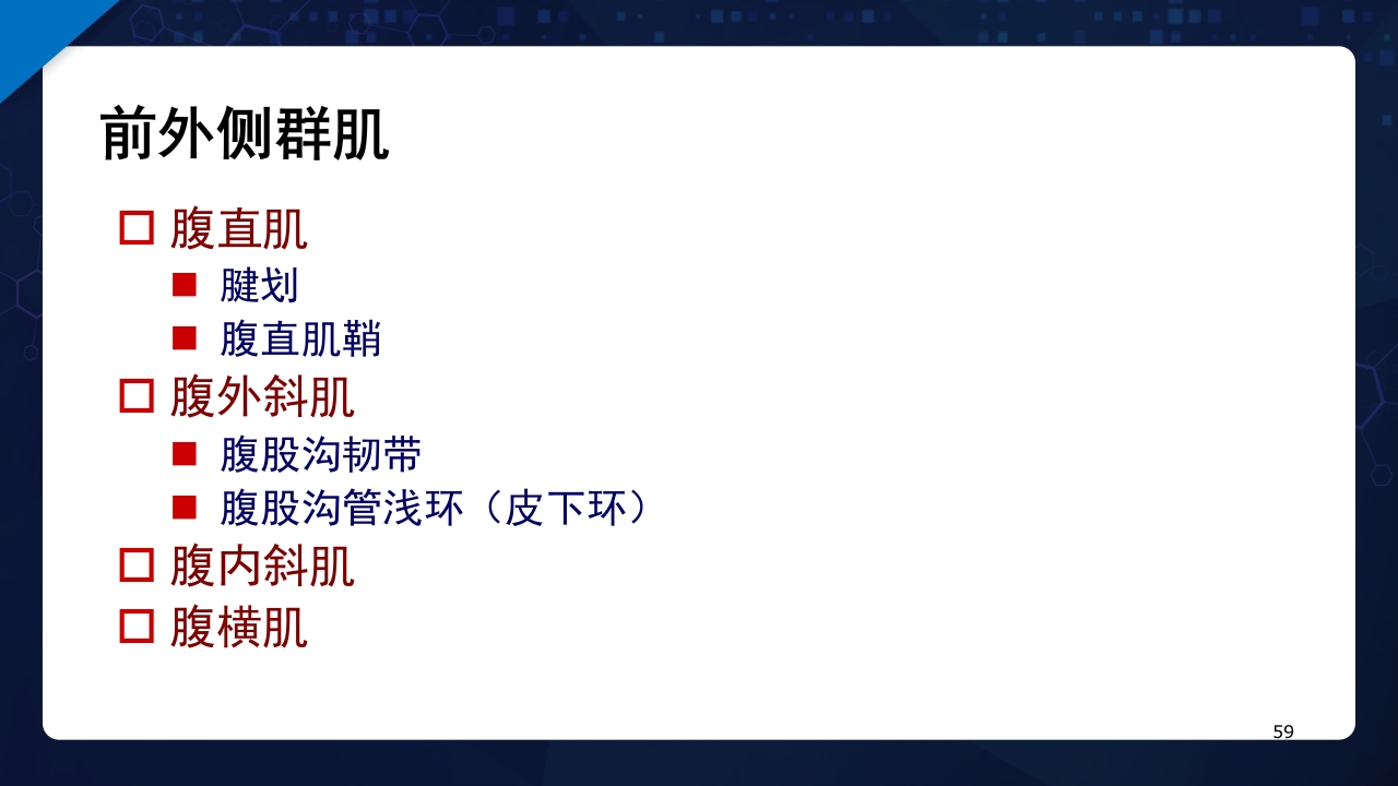 人体解剖学运动系统PPT课件59