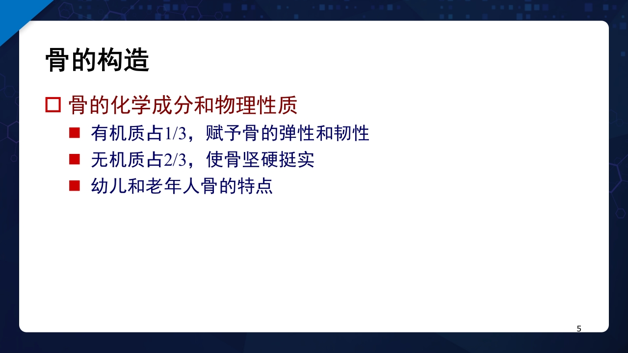人体解剖学运动系统PPT课件5