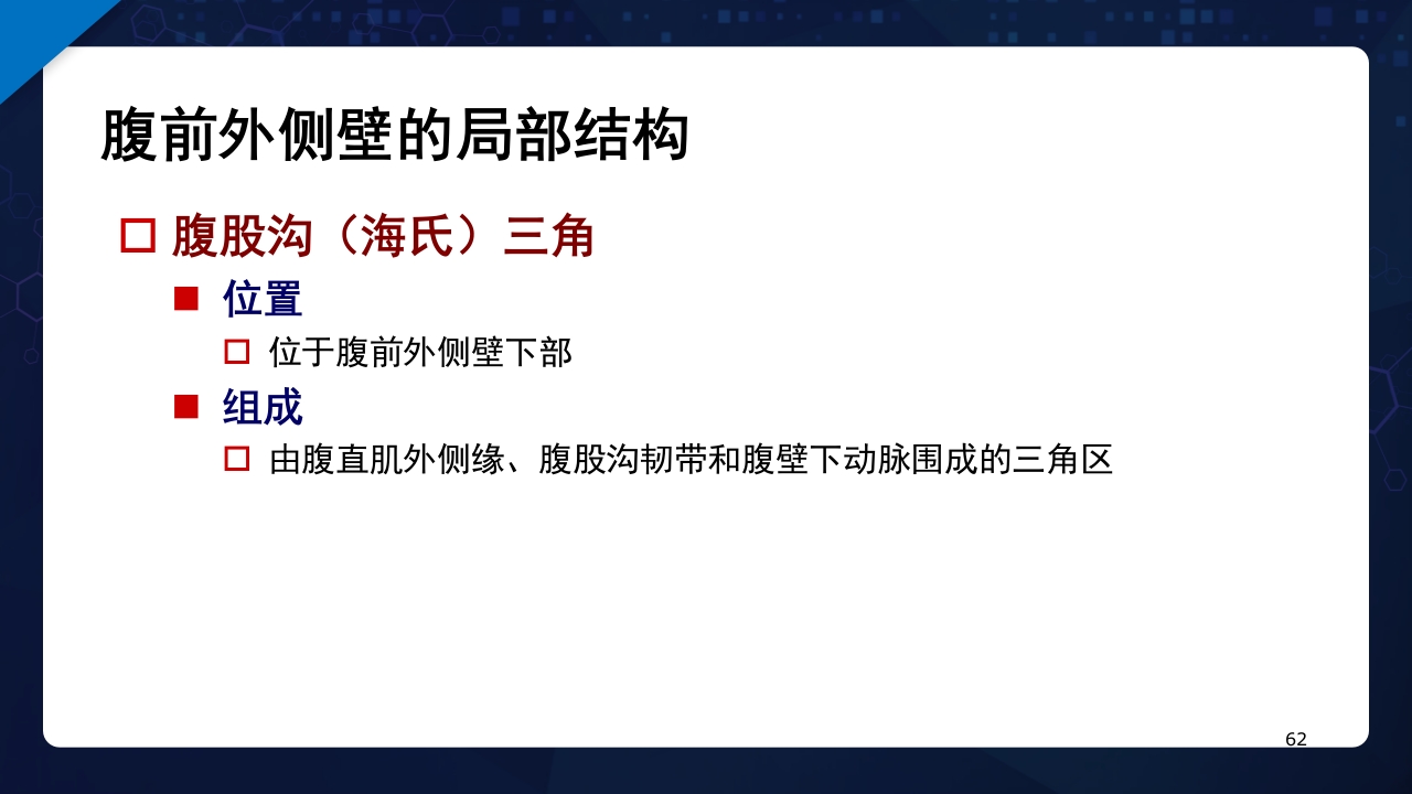 人体解剖学运动系统PPT课件62