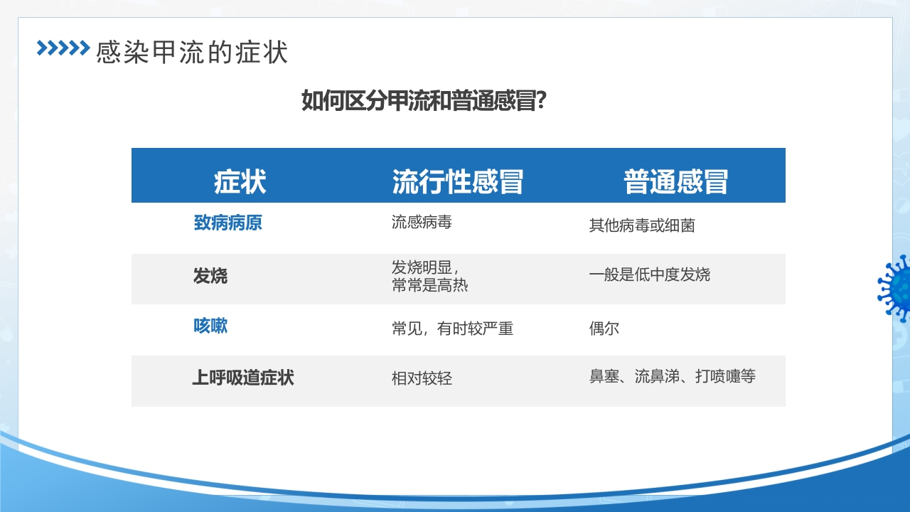 甲型流感病毒PPT课件12