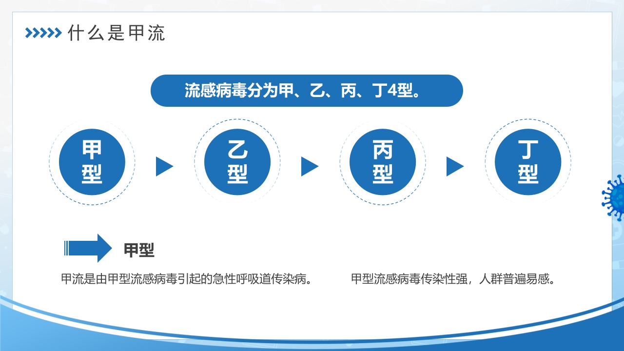 甲型流感病毒PPT课件4