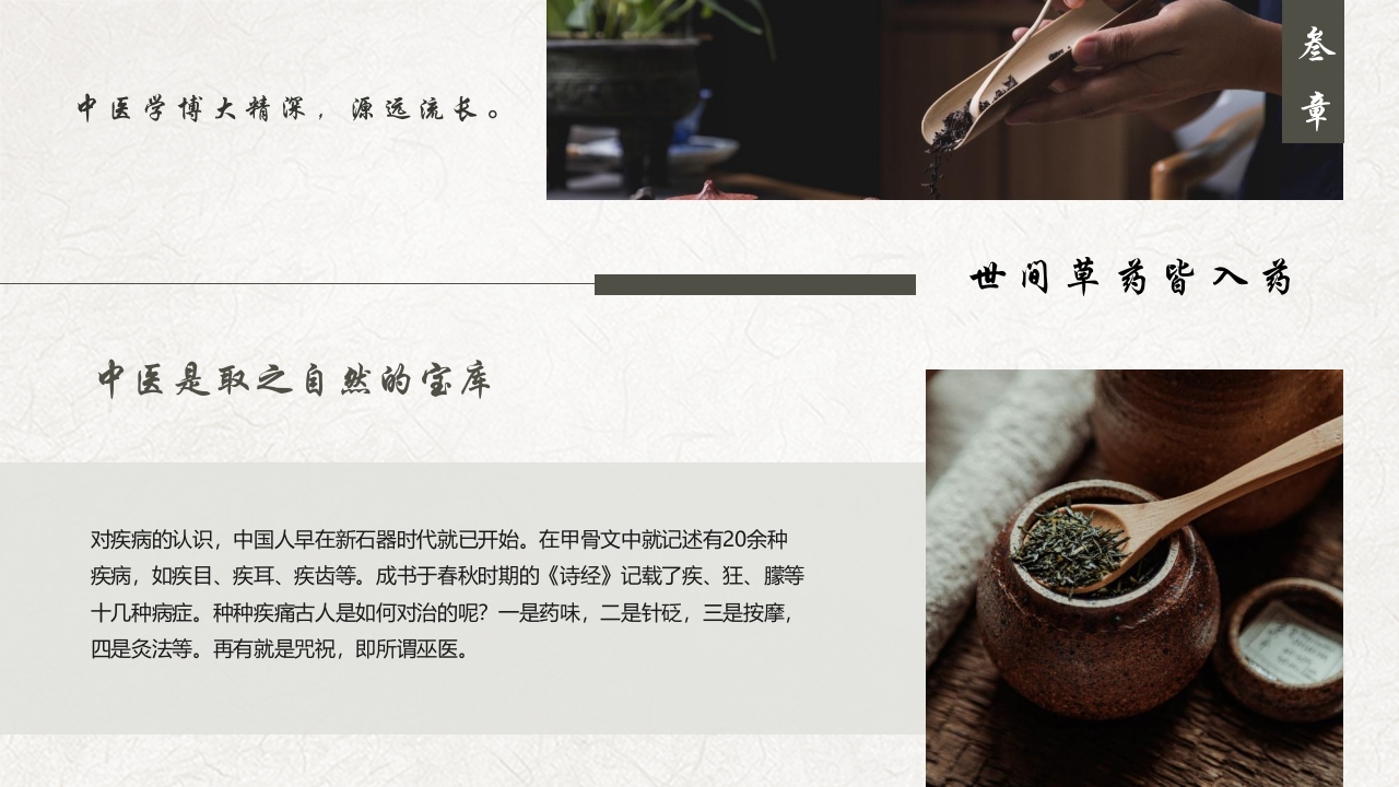 中医养生介绍PPT课件13