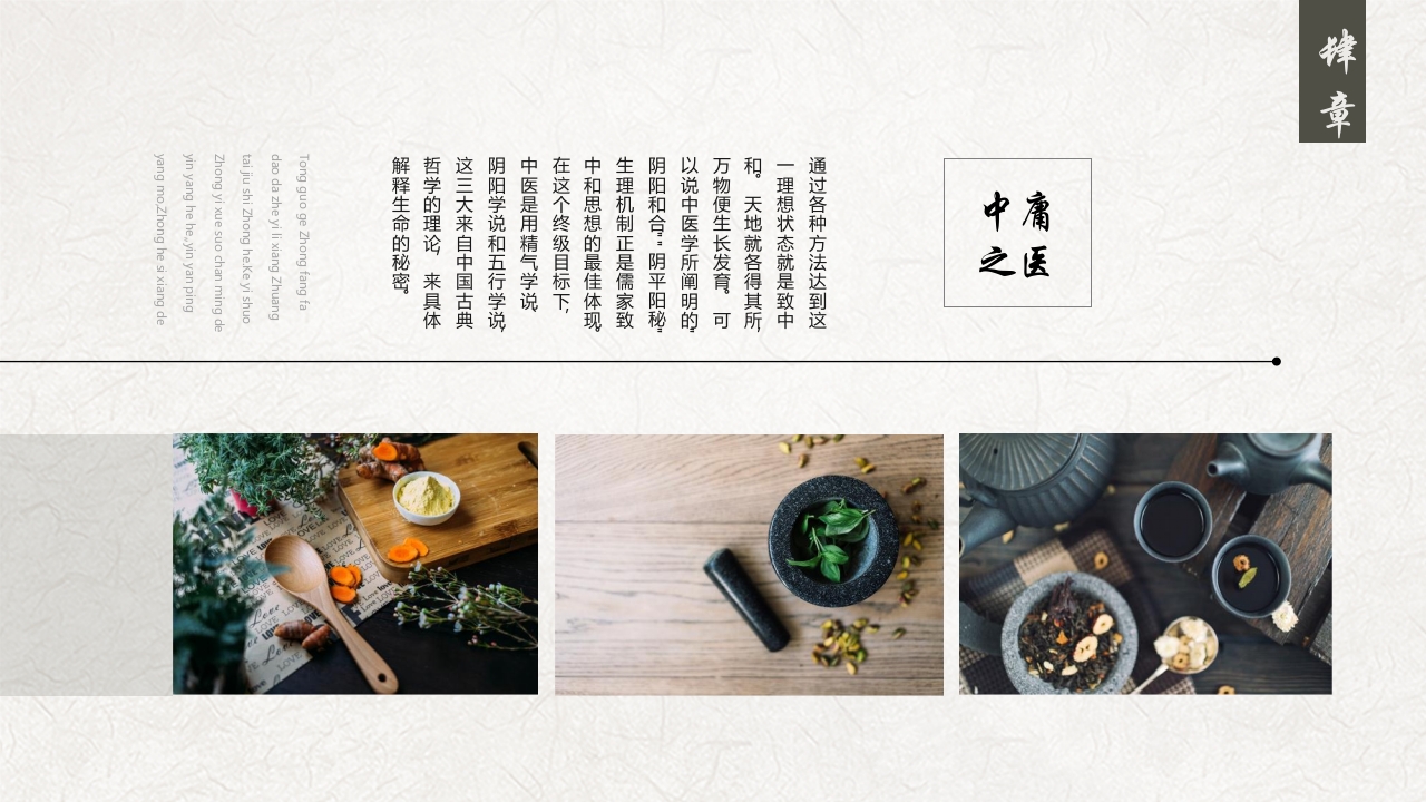 中医养生介绍PPT课件19