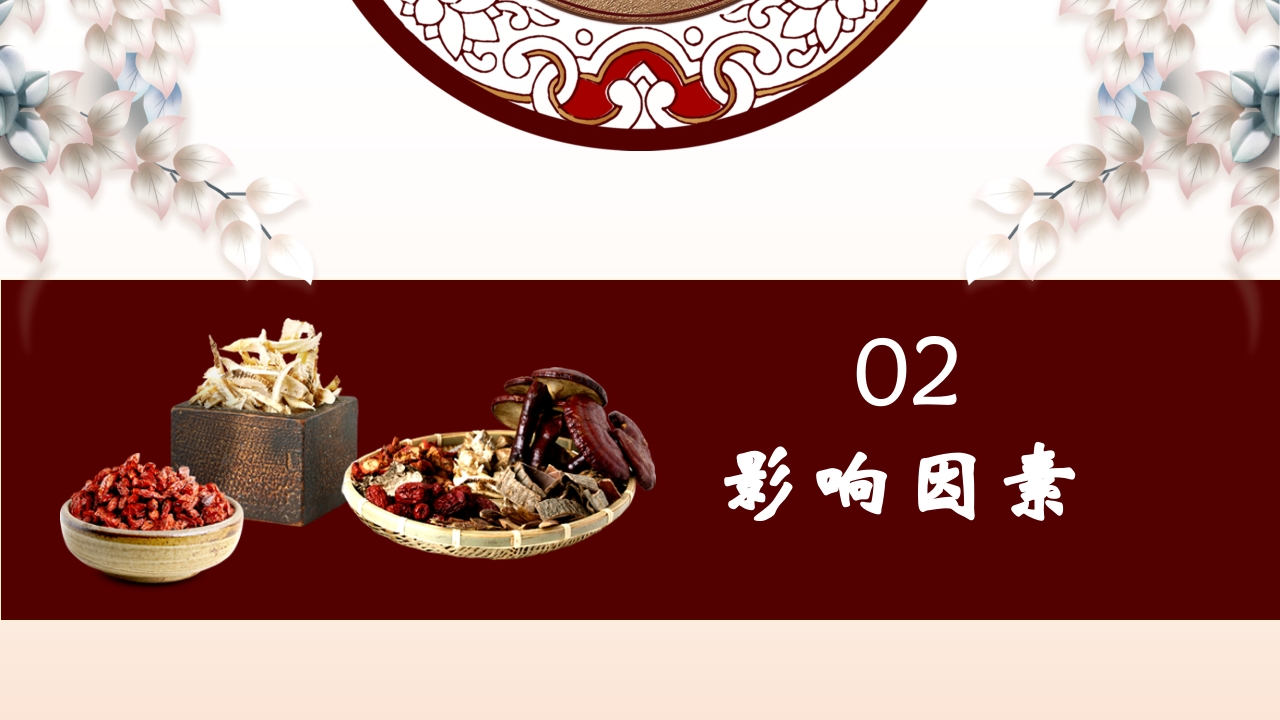中医养生”科普宣传PPT课件7