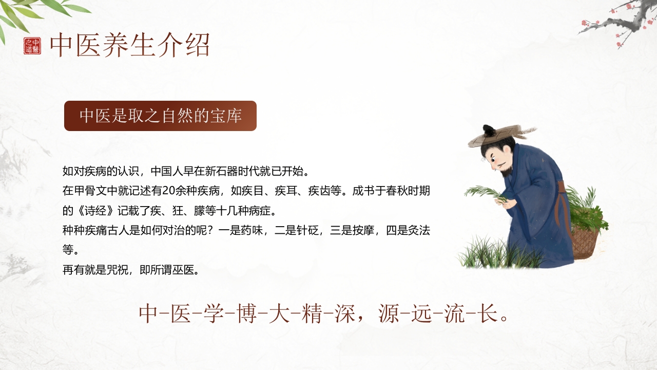 中医养生介绍PPT课件16