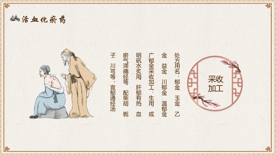 活血化瘀药中医养生PPT课件16