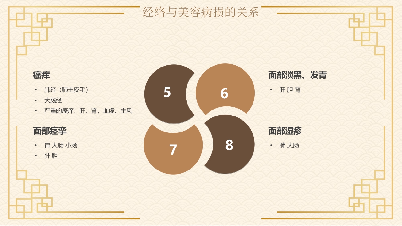 经络与美容中医文化PPT课件14