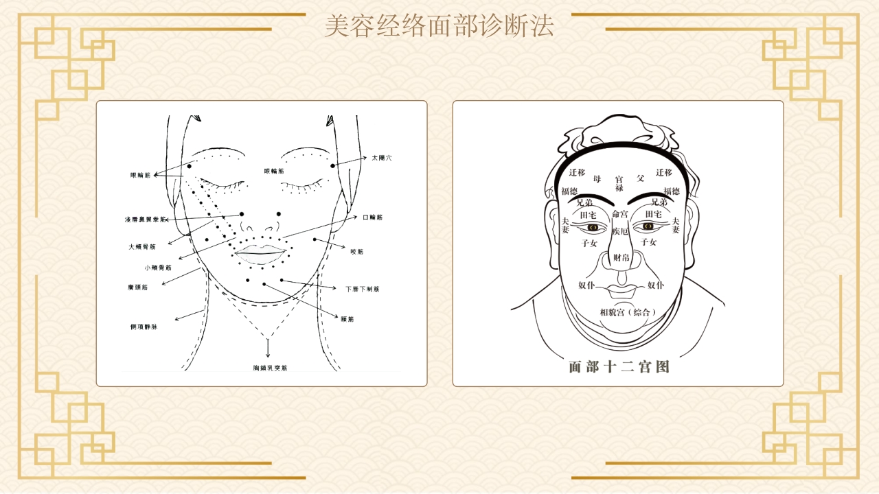 经络与美容中医文化PPT课件5