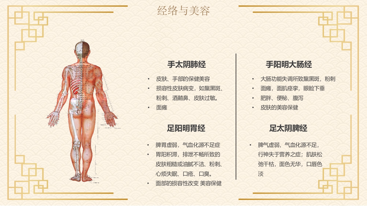 经络与美容中医文化PPT课件8