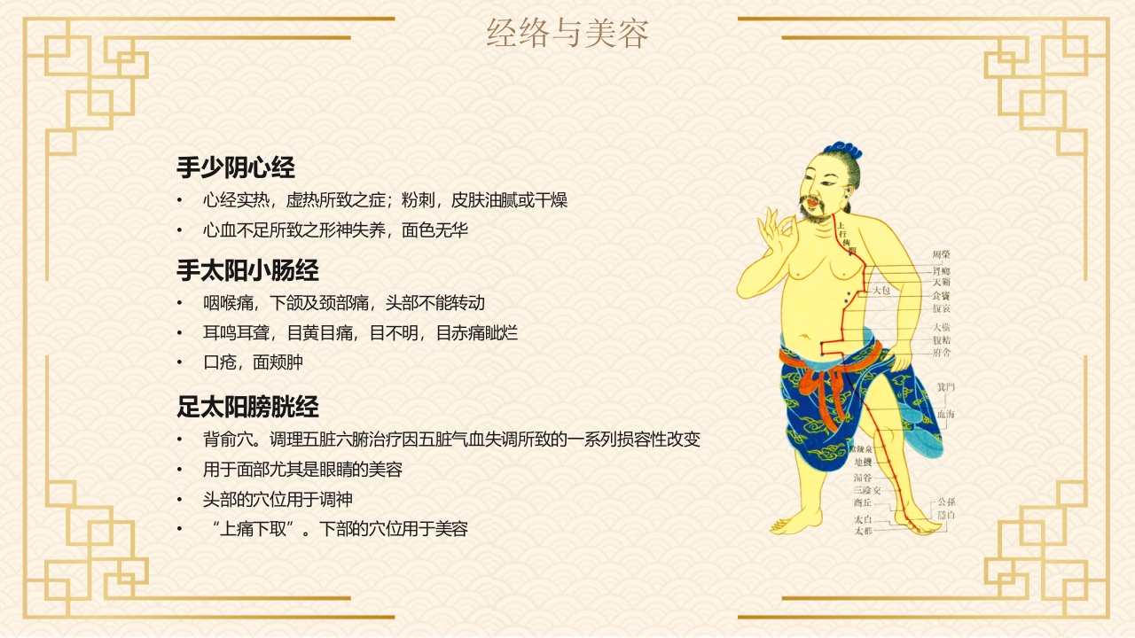 经络与美容中医文化PPT课件9