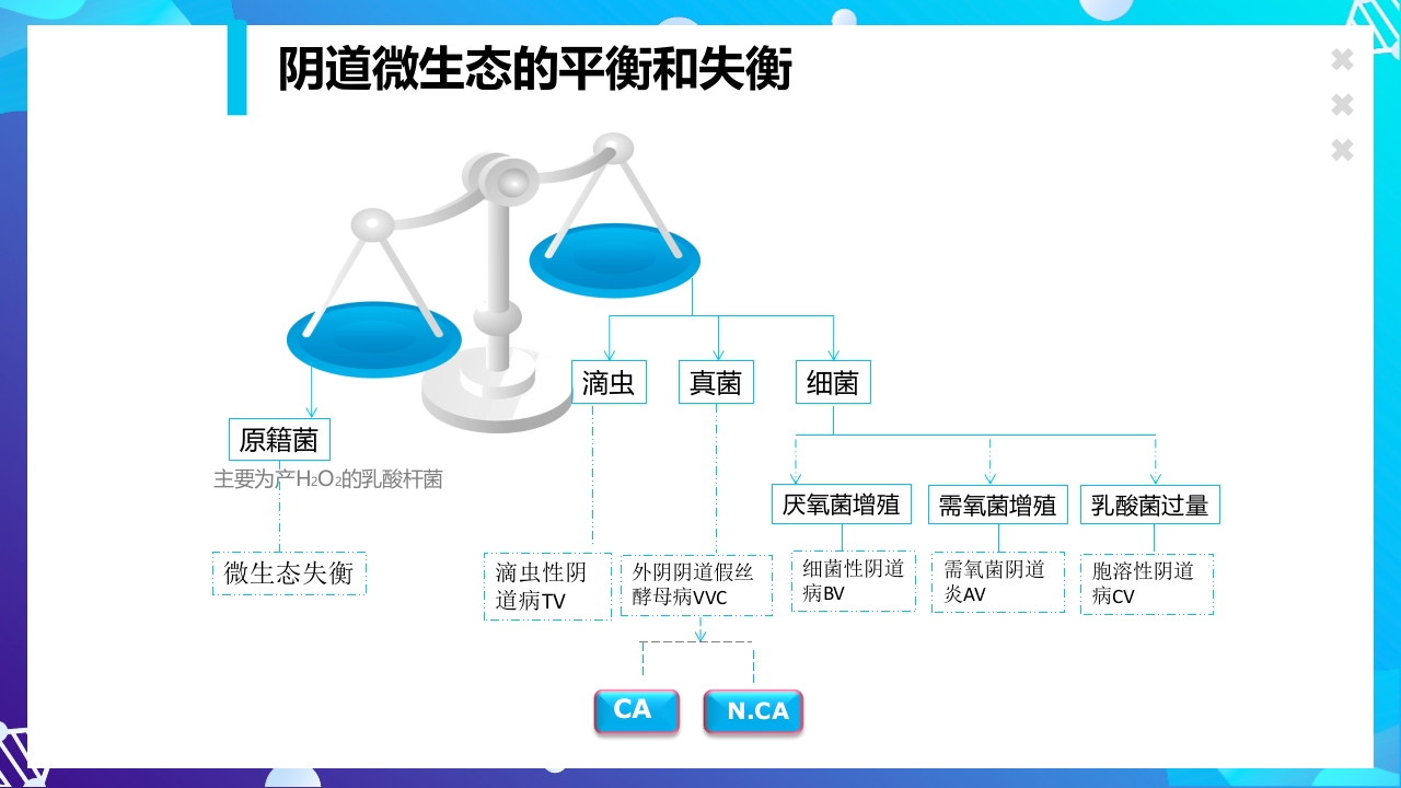 女性下生殖道感染疾病的诊断方法ppt课件13