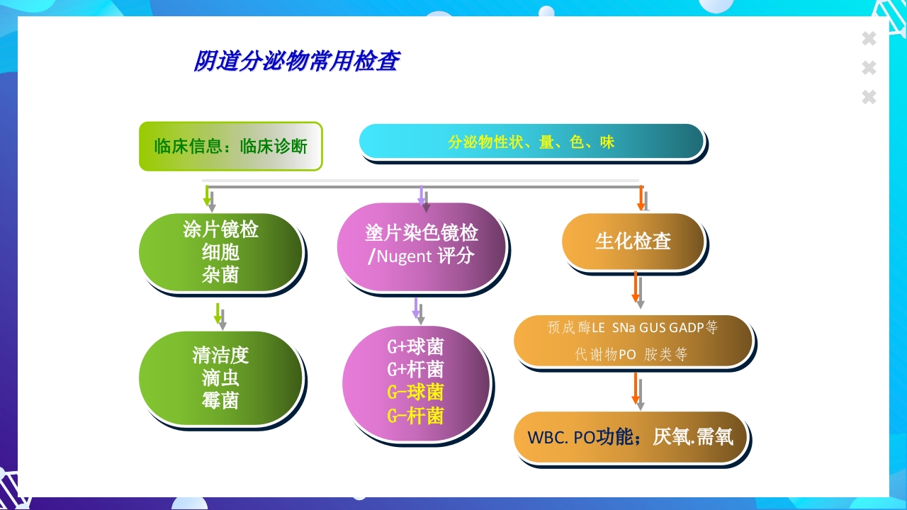 女性下生殖道感染疾病的诊断方法ppt课件35
