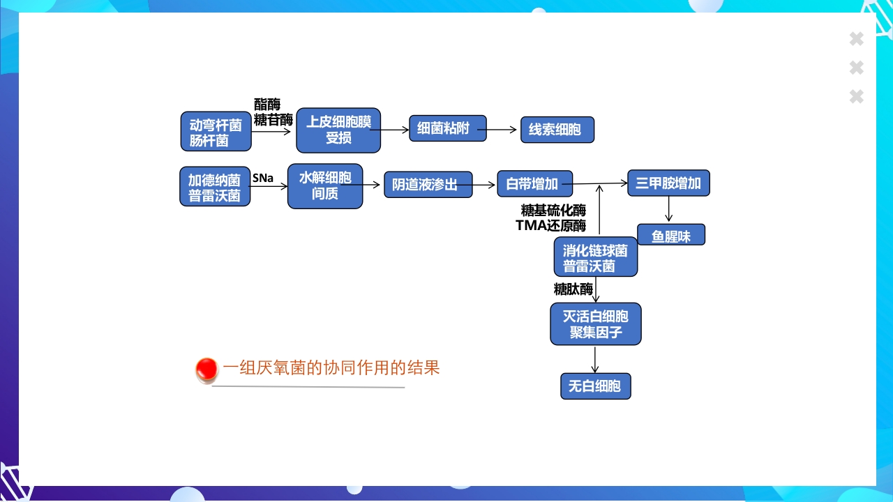 女性下生殖道感染疾病的诊断方法ppt课件39
