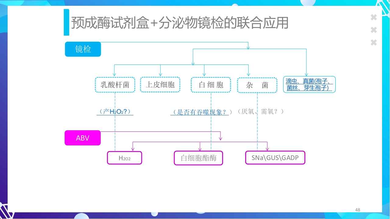 女性下生殖道感染疾病的诊断方法ppt课件48