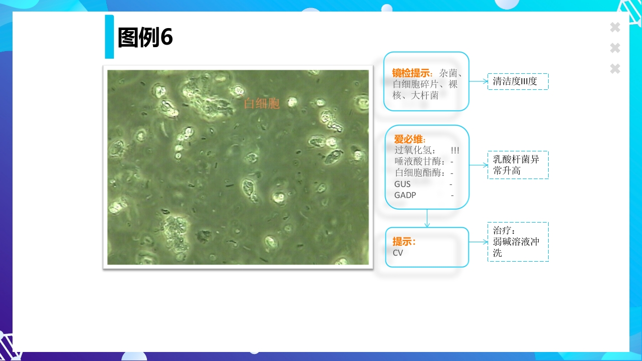 女性下生殖道感染疾病的诊断方法ppt课件55