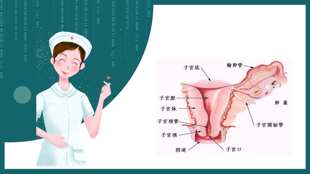 妇科护理查房PPT课件4