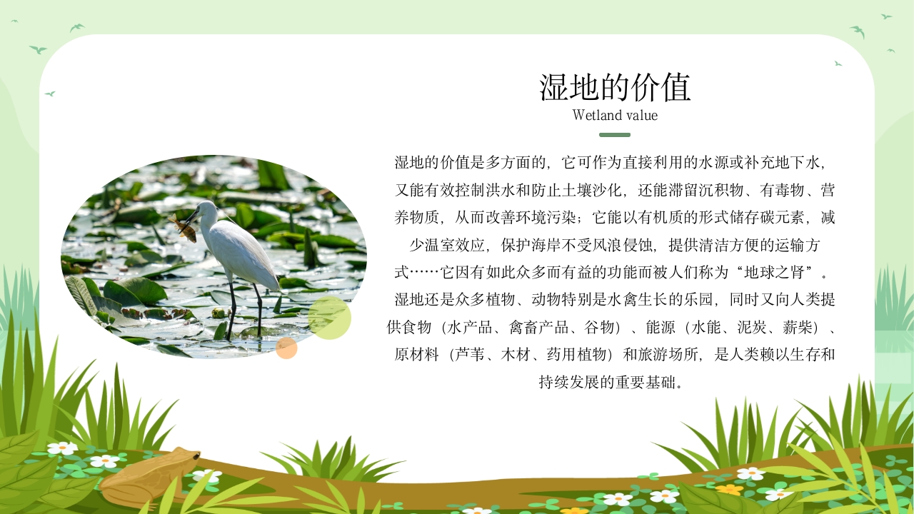 《世界湿地日》湿地保护主题教育教学PPT课件12
