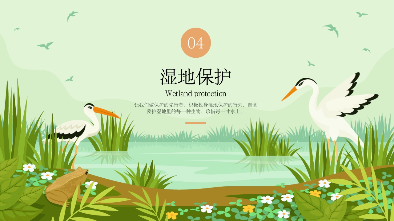 《世界湿地日》湿地保护主题教育教学PPT课件15