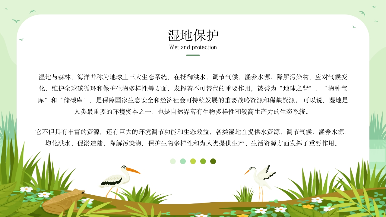 《世界湿地日》湿地保护主题教育教学PPT课件16