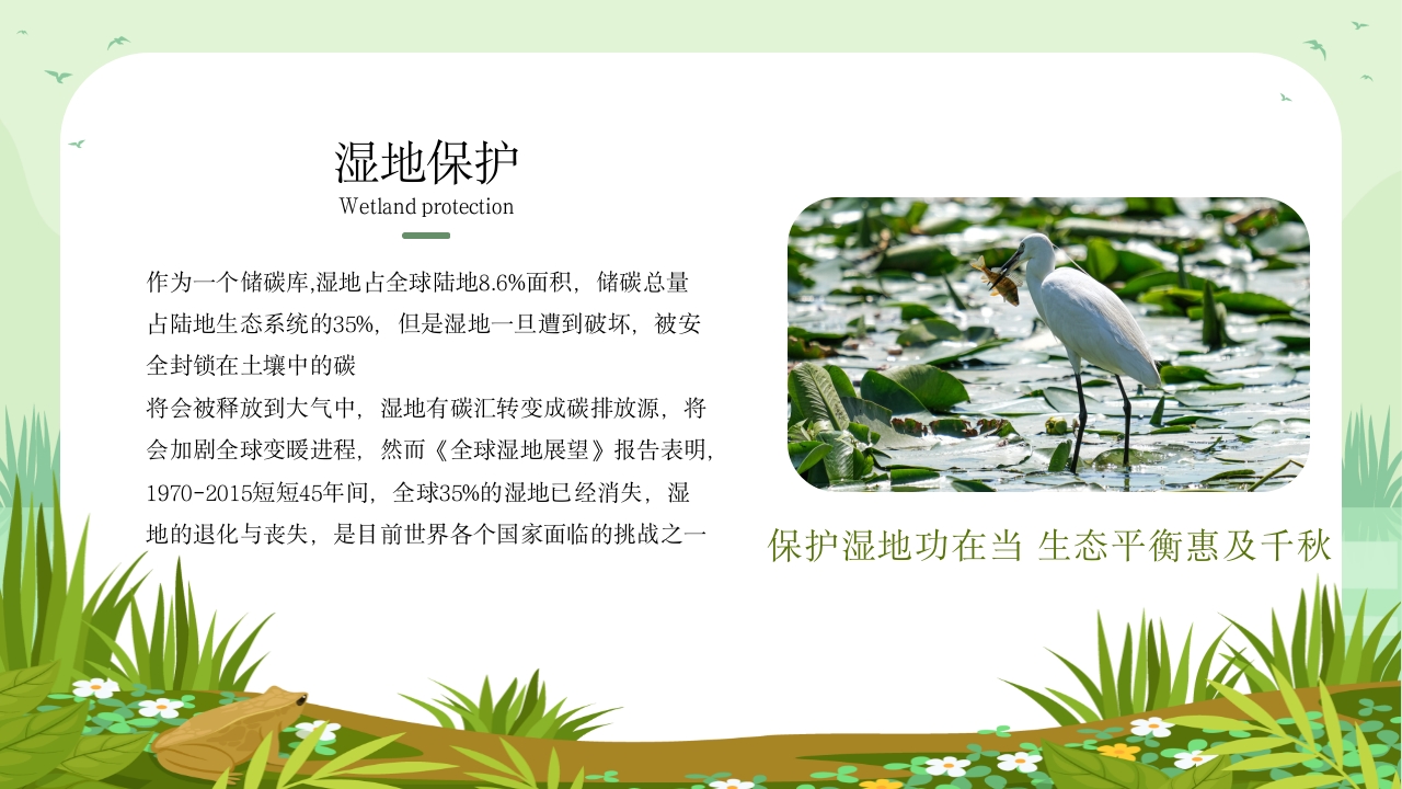 《世界湿地日》湿地保护主题教育教学PPT课件17