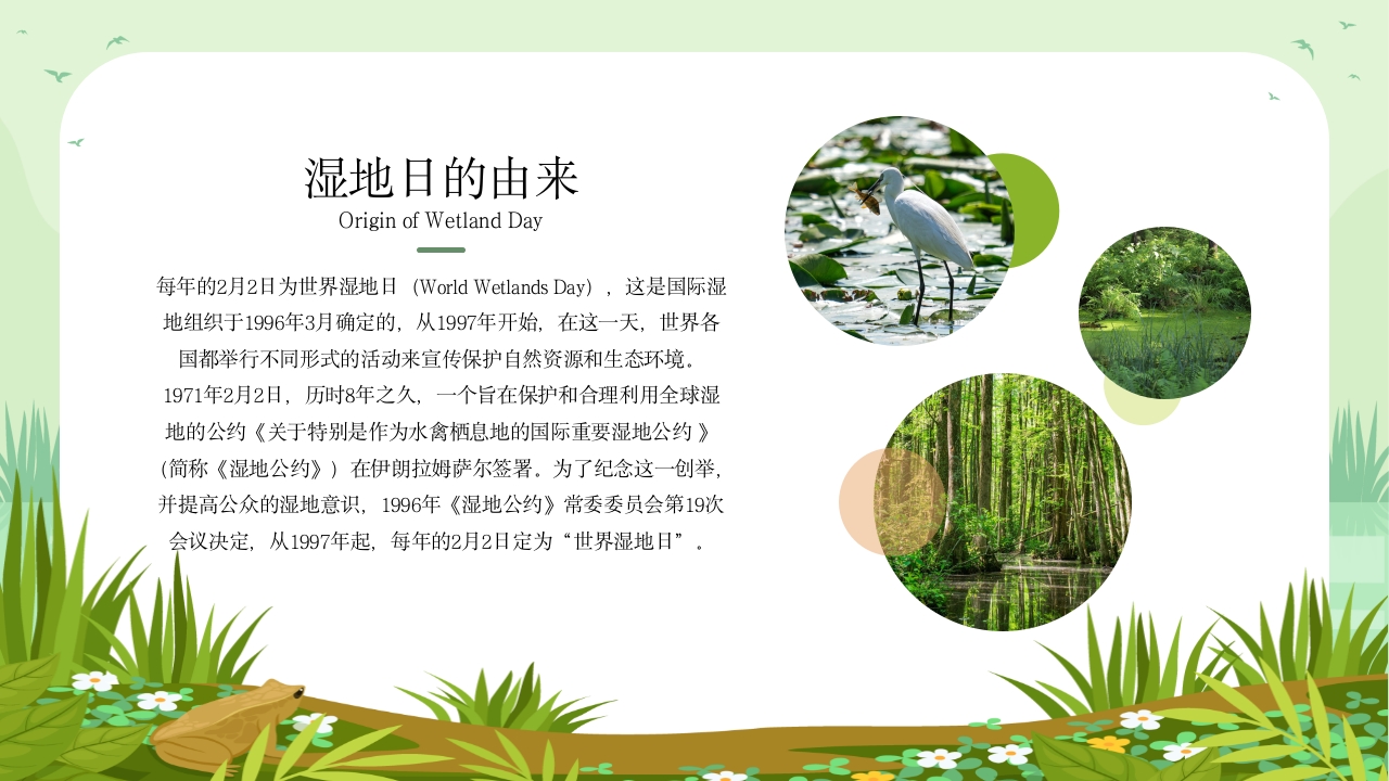 《世界湿地日》湿地保护主题教育教学PPT课件4