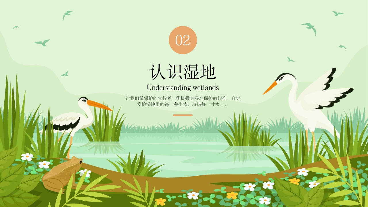 《世界湿地日》湿地保护主题教育教学PPT课件6