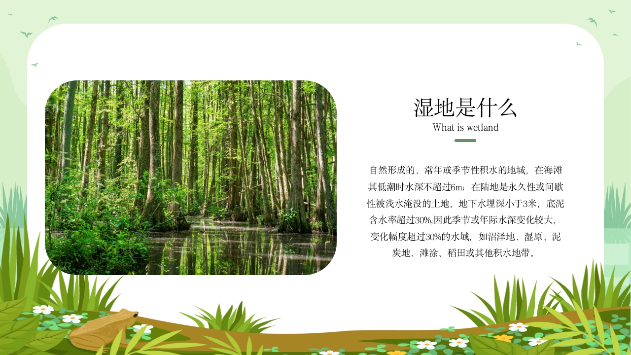 《世界湿地日》湿地保护主题教育教学PPT课件7
