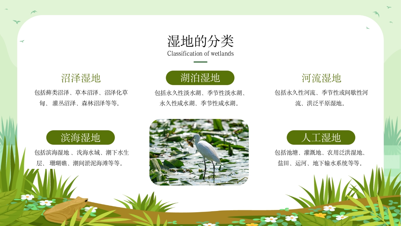 《世界湿地日》湿地保护主题教育教学PPT课件9