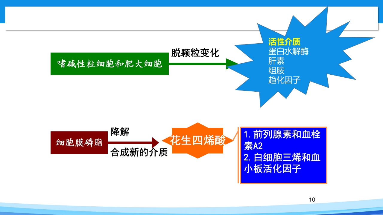 青霉素过敏试验PPT课件10