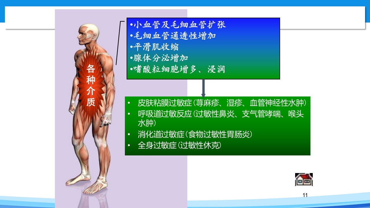 青霉素过敏试验PPT课件11