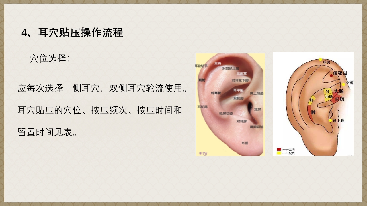 耳穴贴压技术PPT课件12