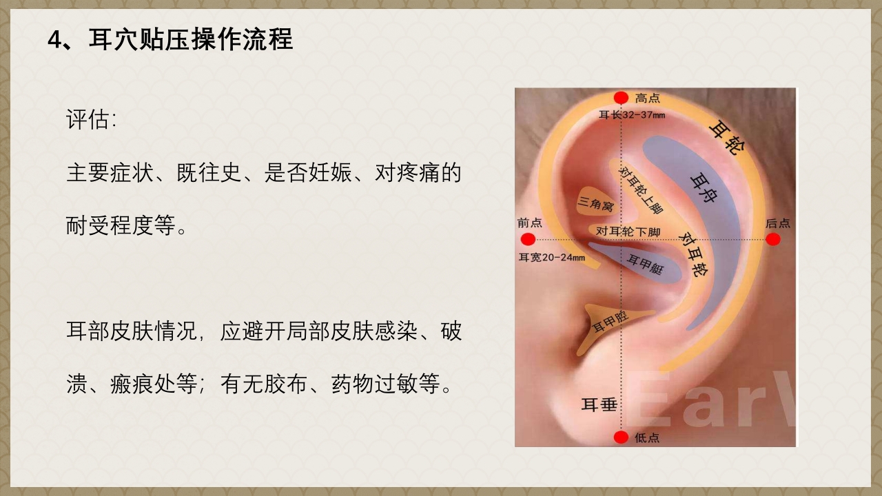 耳穴贴压技术PPT课件9