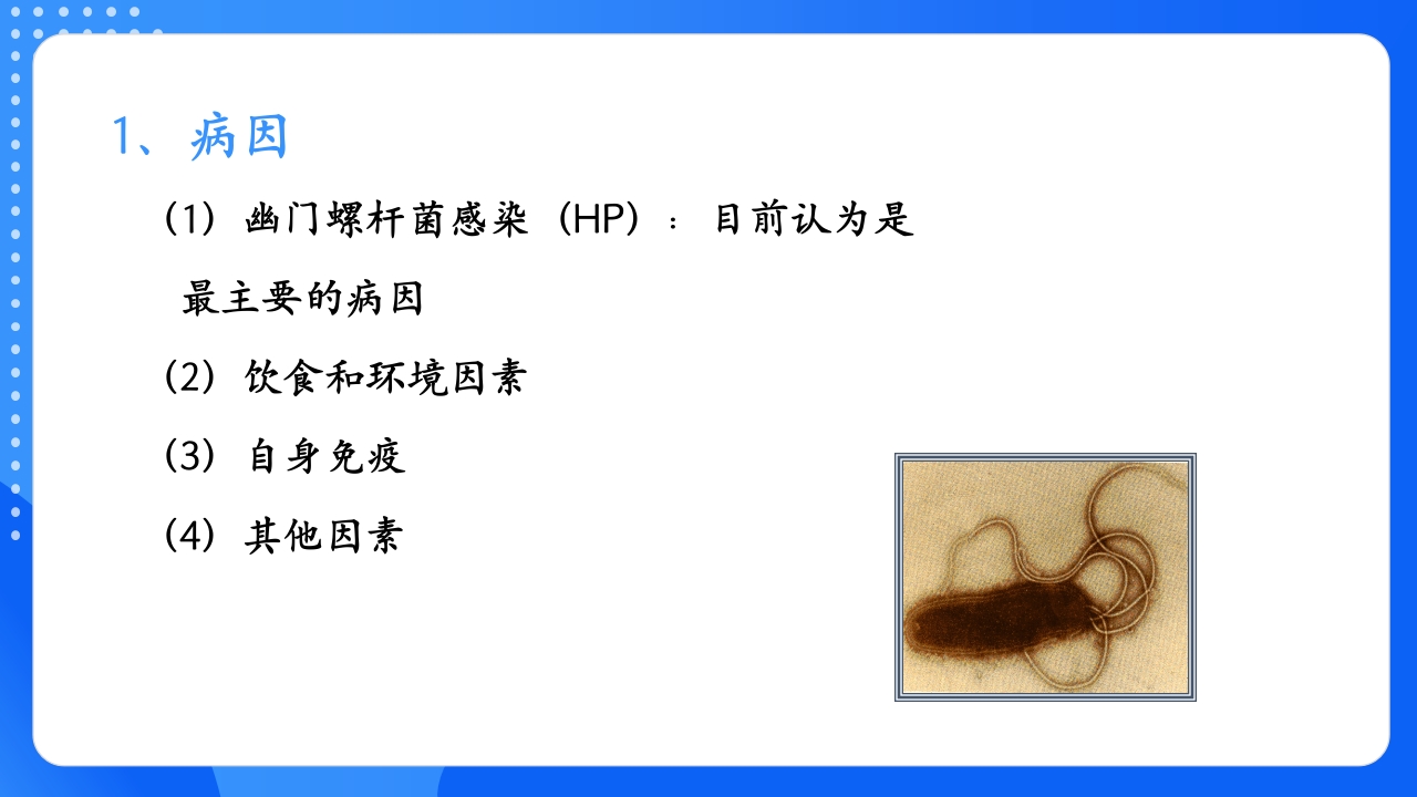 慢性胃炎护理查房PPT课件10