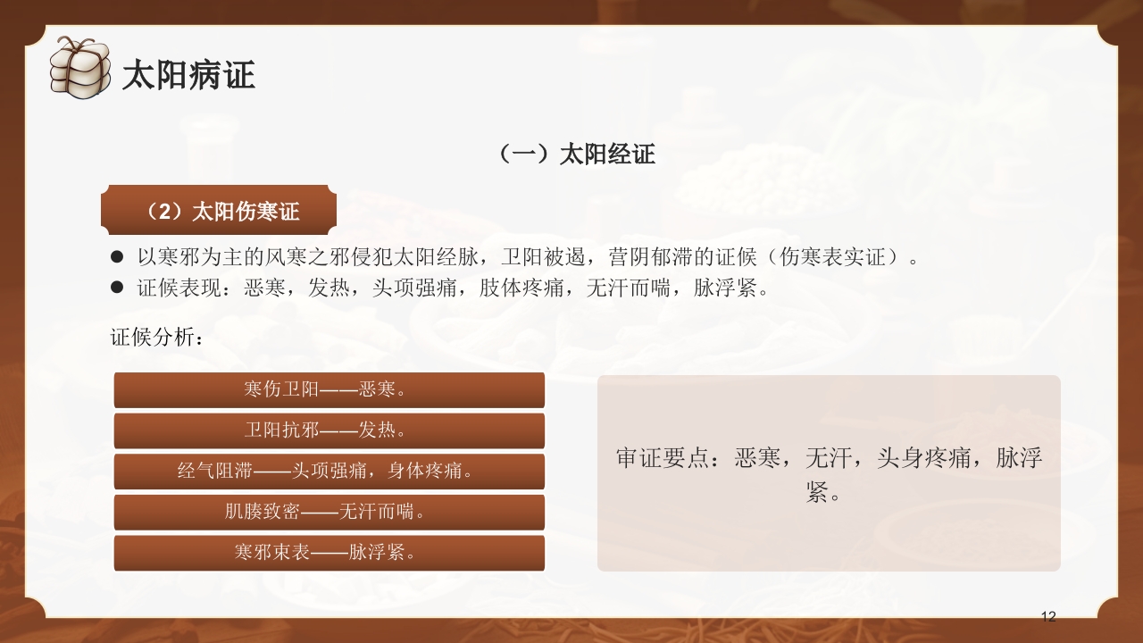 中医六经辨证PPT课件12