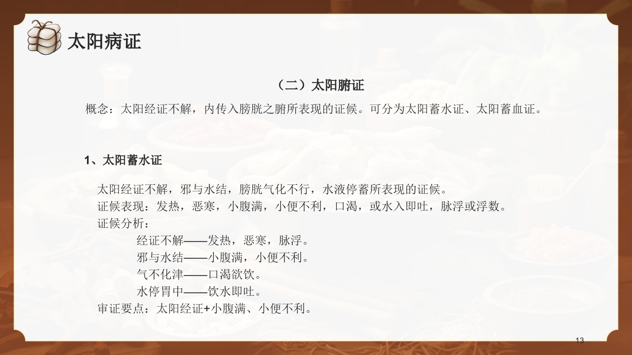 中医六经辨证PPT课件13