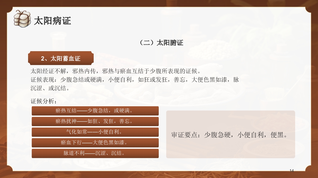 中医六经辨证PPT课件14