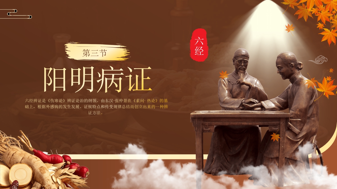 中医六经辨证PPT课件15