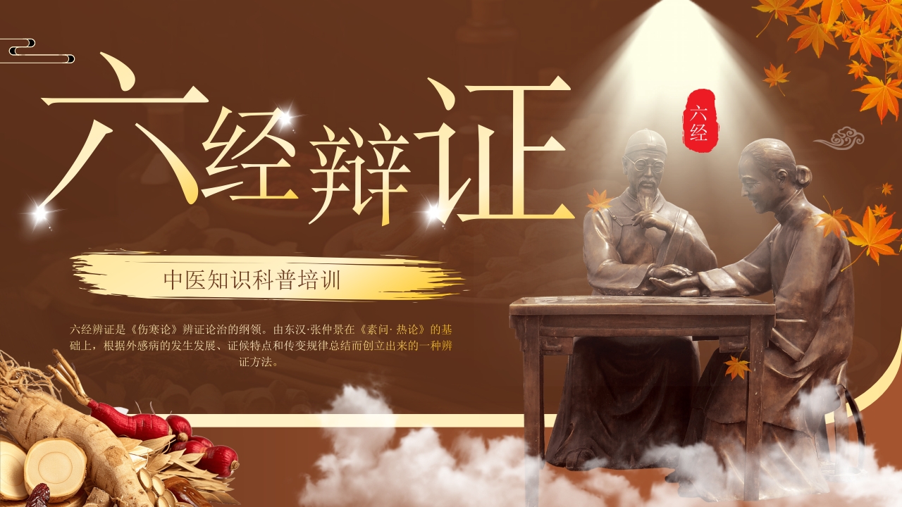 中医六经辨证PPT课件1